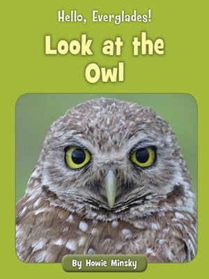 cover image of Look at the Owl